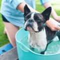 Are there any special considerations for pet owners when doing a spring deep cleaning?