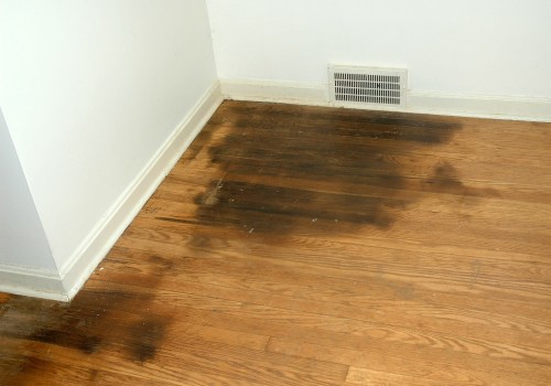 How do you deep clean dog urine from hardwood floors?