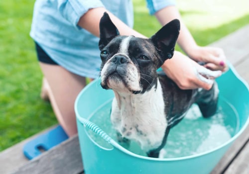 Are there any special considerations for pet owners when doing a spring deep cleaning?